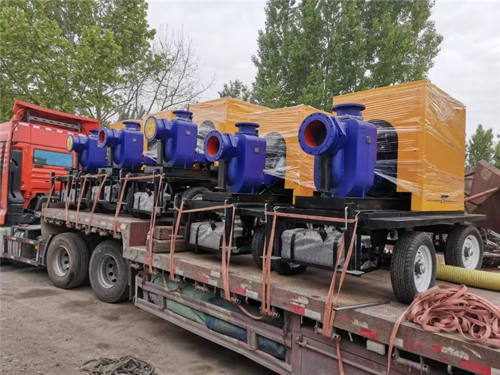 10-inch Self-priming Flood Control And Sewage Drainage Pump With Trailer.