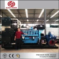 Pompă de deshidratare pentru minerit